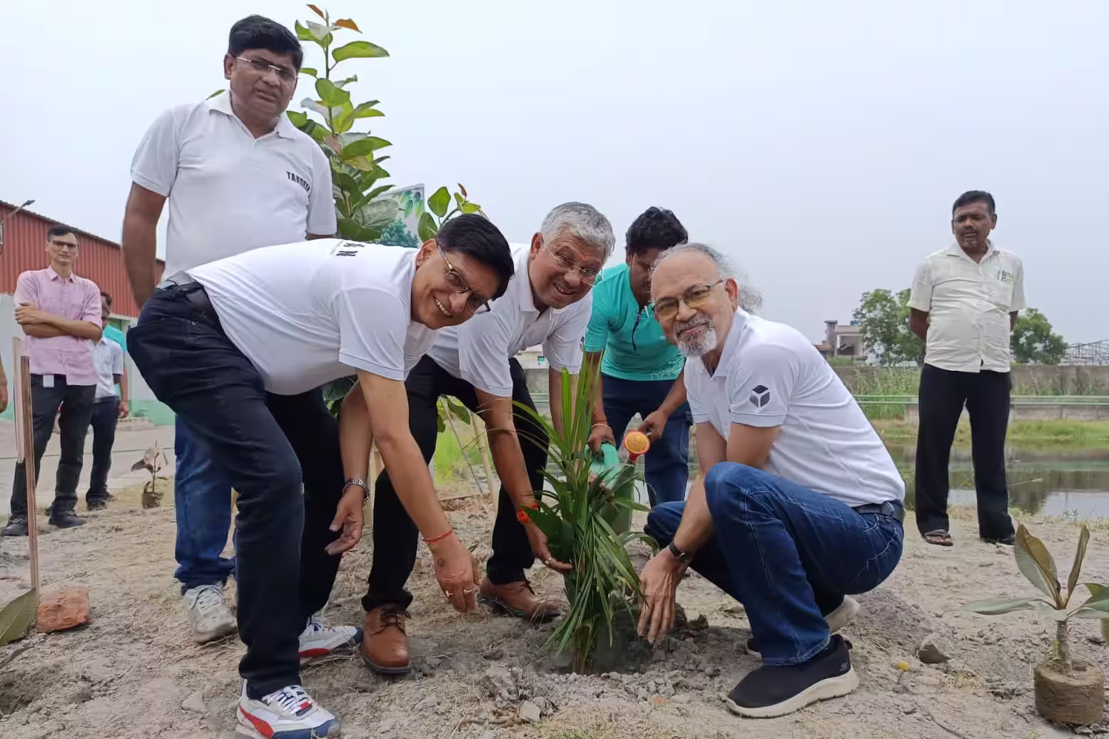 World Environment Day 2026: Promoting Sustainability Through Tree Plantation