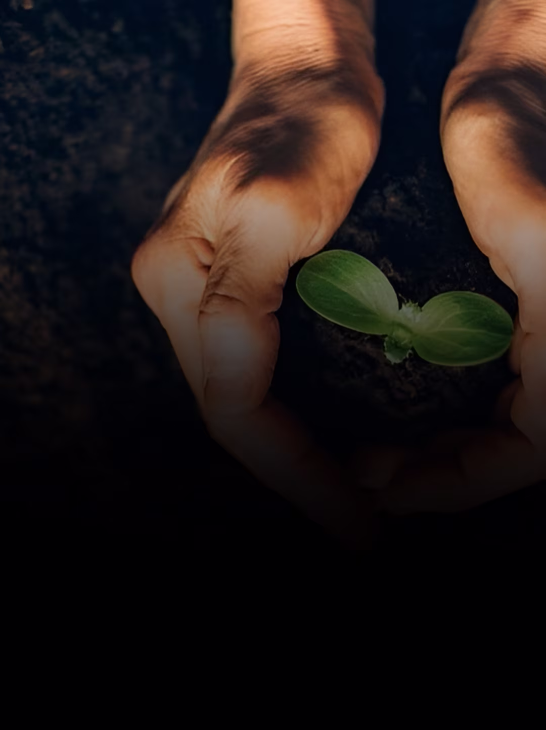 Sustainability